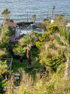 Georgia Seaside Villa - Hersonissos - 2