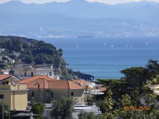 Bed&BluUp - Savona - 4