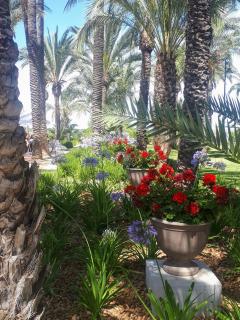 Hacienda Riqueleme Golf Resort - 3