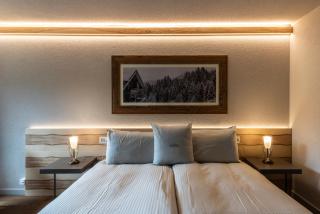 Hotel Maya Caprice - Wengen - 2