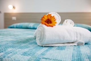 B&B Il Viaggiatore - 1