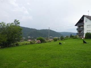 Ferienwohnung Am Eichbühl - Waldkirch - 5
