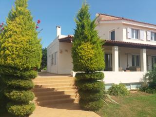 Beautiful Summer Villa in Chalkoutsi - Khalkoútsion - 6