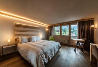 Hotel Maya Caprice - Wengen - 9