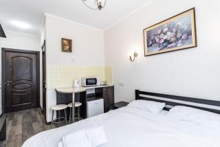 Opera House Apartment 2 - Lviv - 7