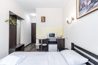 Opera House Apartment 2 - Lviv - 0