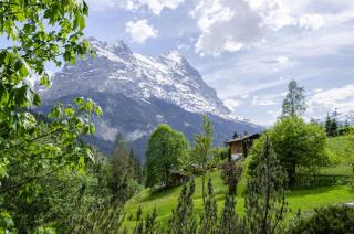 Apartment Mühlegaden - GRIWA RENT AG - Grindelwald - 3
