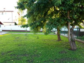 Iarca Cottage - Bucharest - 7