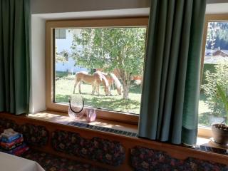 Pension Nigella - Neustift im Stubaital - 7