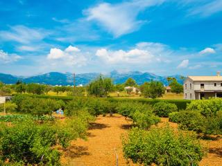 Can Pascolet - Inca - 6