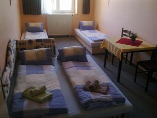 Hotel Hradec - Mlázovice - 5