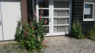 Studio Zilt - Vlissingen - 9