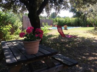 Saba - Cabrières-dʼAvignon - 6