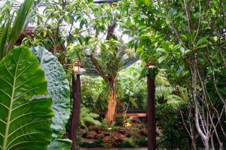 88 Homestay - Bang Chak - 4
