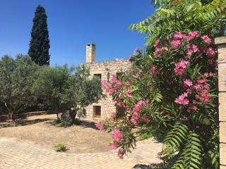 PYRGOS RALLI ESTATE Guesthouse - Égine - 9