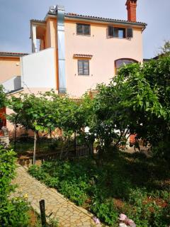 Apartment Dalmatini - Vabriga - 4