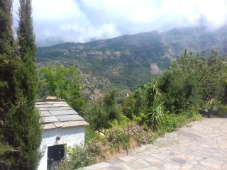 Ikarian Centre - Accommodation & mountain hiking - Evdilos - 5