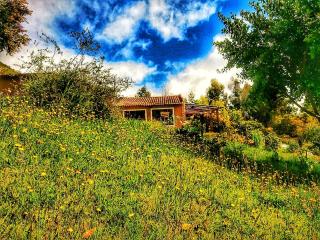 The Naked House - Hotel Nudista - 3