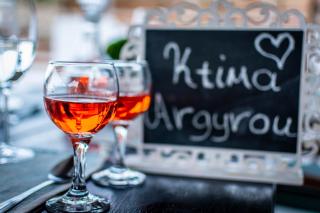 Ktima Argyrou Stegna - Archangelos - 6