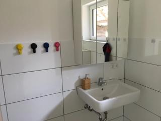 Pferd - Bad Rappenau - 1