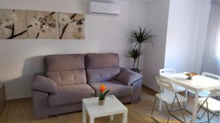 Loft 500 metros de la playa - 0