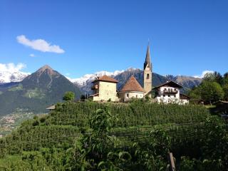 Pension Chalet Andy - Scena - 6