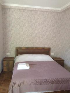 Resort Hotel BIJNISI - 8