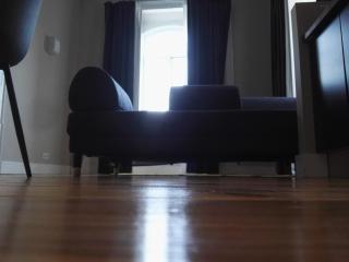 Temple Suites Guesthouse - 4