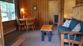 Logging Chain Lodge Cottage Resort - Dwight - 5