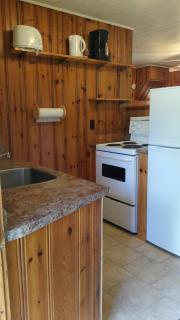 Logging Chain Lodge Cottage Resort - Dwight - 6