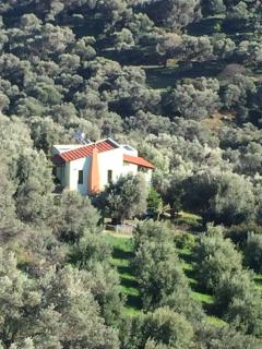 Villa Christina Anidri - Ánidhroi - 9