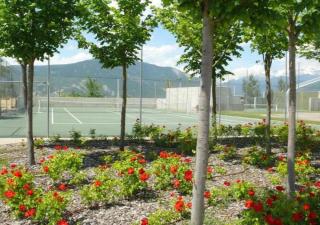 ALTA MONTAÑA - GOLF & RELAX - PIRINEO DE HUESCA - VALLE de TENA - Sabiñánigo - 1