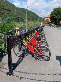 Koala - Finale Ligure - 8
