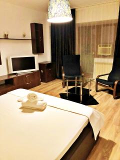 Dream Residence 49 - Bucharest - 8