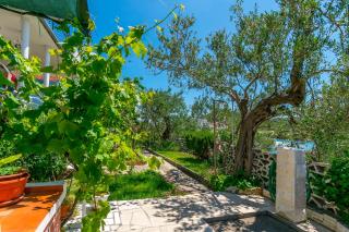 Apartment Garden by the sea - 3