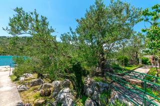 Apartment Garden by the sea - Rogoznica - 2