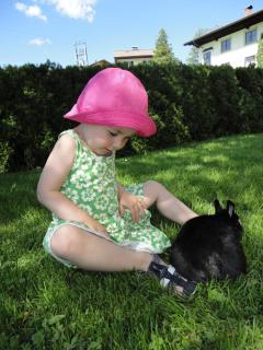 Ferienwohnung Ronacher - 2