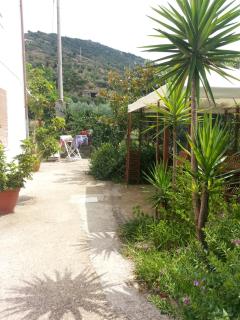 B&B Mazzarella - San Mauro Cilento - 2