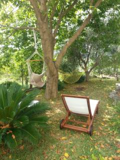 B&B Mazzarella - San Mauro Cilento - 3