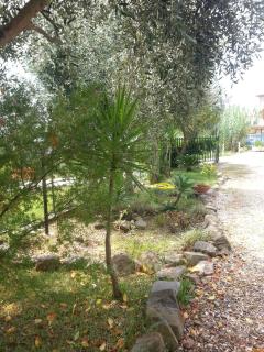 B&B Mazzarella - San Mauro Cilento - 4