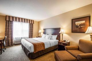 Comfort Inn & Suites McMinnville Wine Country - McMinnville - 5