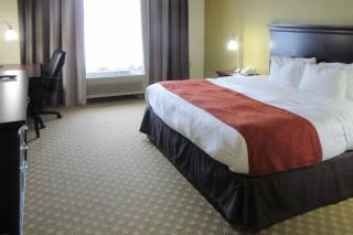 Quality Inn & Suites - Alexandria - 7