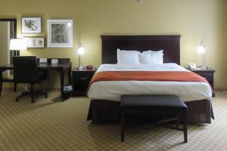 Quality Inn & Suites - Alexandria - 6