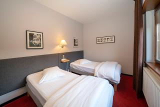 Hôtel Le Verger De Bischwiller - Bischwiller - 7