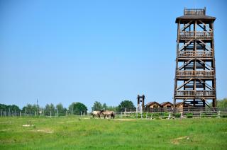 Парк природи Беремицьке та Парк-готель Лісове Озеро - 4