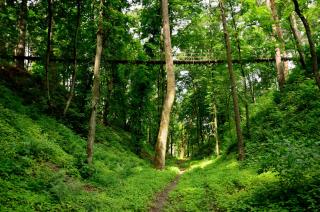 Парк природи Беремицьке та Парк-готель Лісове Озеро - 3