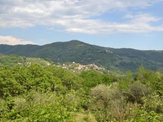 Belvilla by OYO Olivi Verde - San Quirico - 1