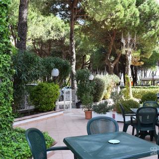 Hotel Admiral - Pinarella - 3