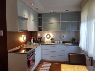 Pod Jasną Górą - Apartament 3 - Częstochowa - 0