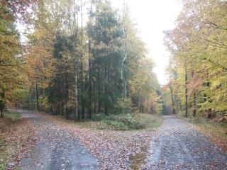 Ferienwohnung Bockelt - 4